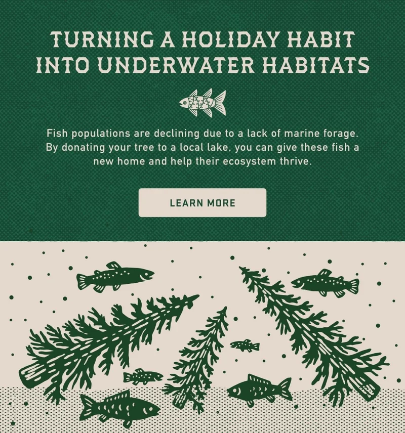 Fish Firs