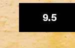9.5
