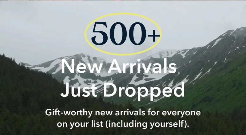 500+ New Arrivals Just Dropped | Gift-worthy new styles for everyone on your list (including yourself).