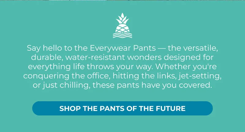 THE EVERYWEAR PANTS