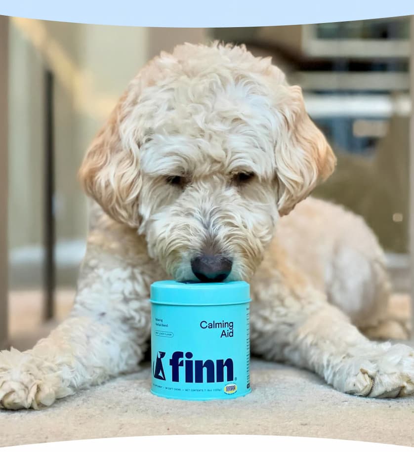 Photo: Doodle with a tin of Calming Aid.