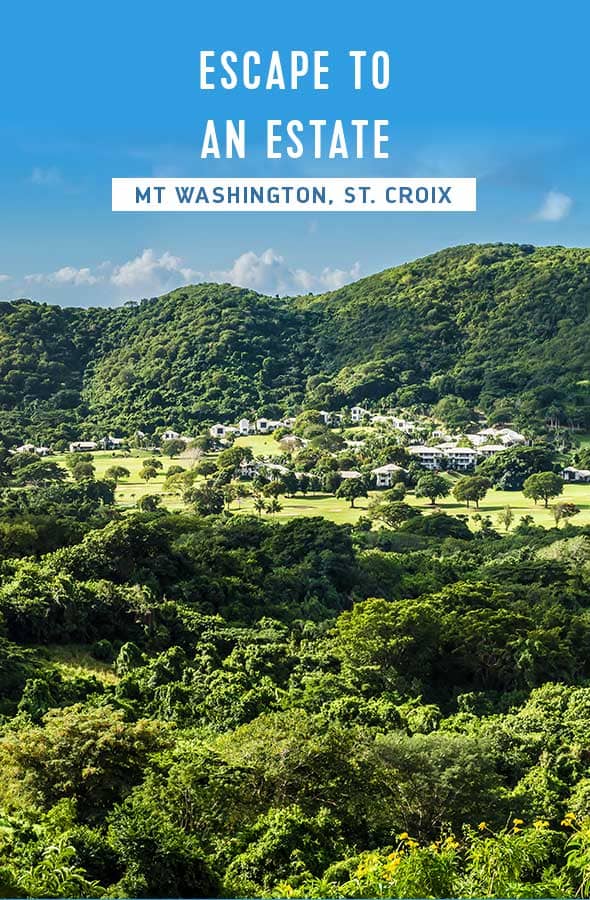 MT WASHINGTON, ST. CROIX