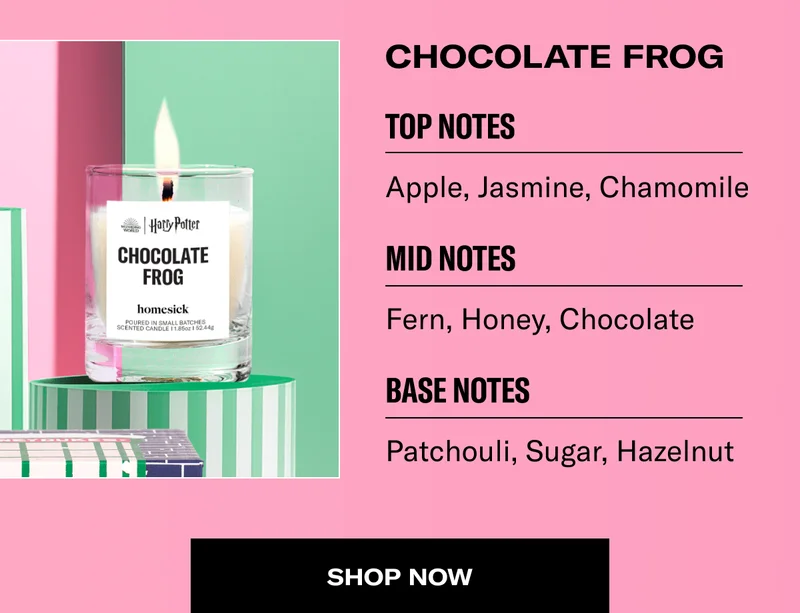 CHOCOLATE FROG | SHOP NOW