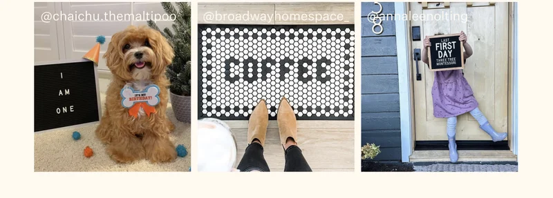 @chaichu.themaltipoo | @broadwayhomespace | @annaleenolting