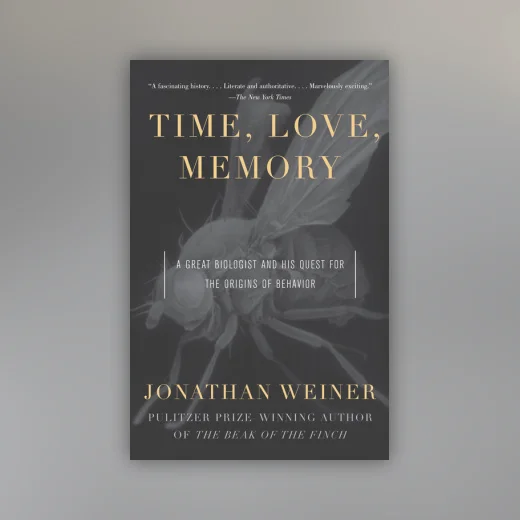 Time, Love, Memory