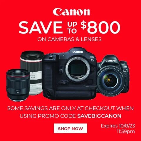 Canon banner