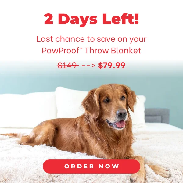 New Year Sale