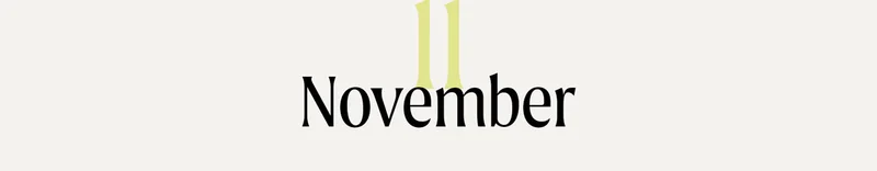 11 November