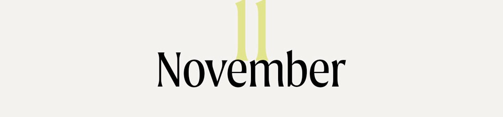 11 November