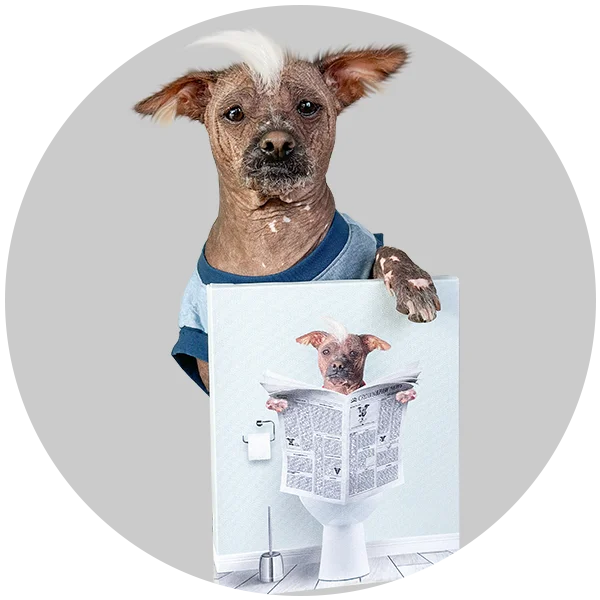 Restroom Pet Portrait - Custom Canvas