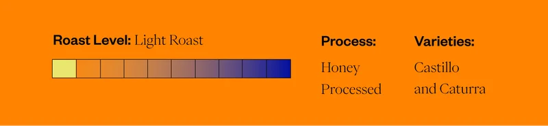 Roast Level: Light Roast Process: Washed Varietes: Castillo and Caturra