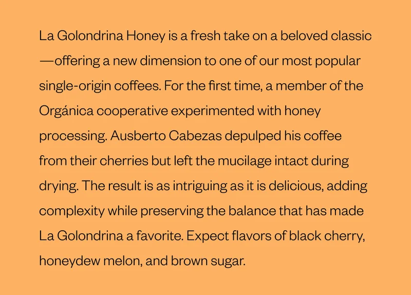 La Golondrina Honey is a fresh take on a beloved classic—offering a new dimension to one of our most popular single-origin coffees. For the first time, a member of the Orgánica cooperative experimented with honey processing. Ausberto Cabezas depulped his coffee from their cherries but left the mucilage intact during drying. The result is as intriguing as it is delicious, adding complexity while preserving the balance that has made La Golondrina a favorite. Expect flavors of black cherry, honeydew melon, and brown sugar.