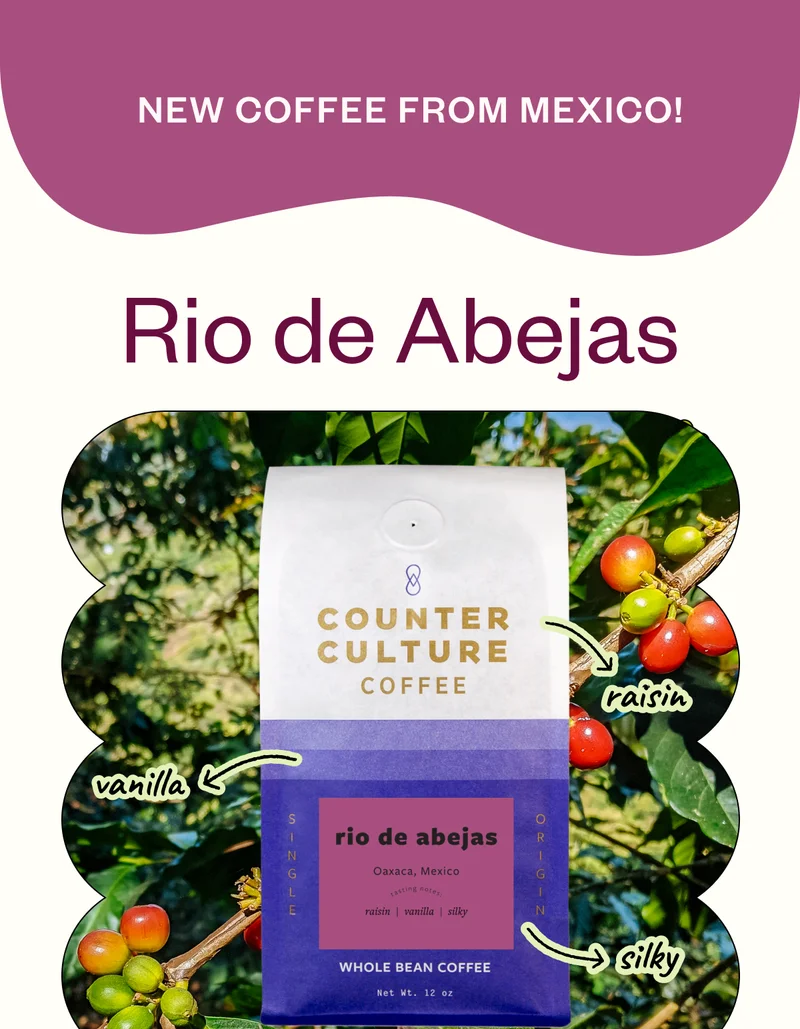 New coffee from Mexico! Rio de Abejas raisin vanilla silky