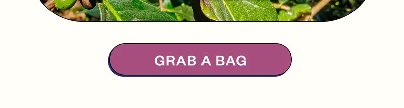 Grab a Bag