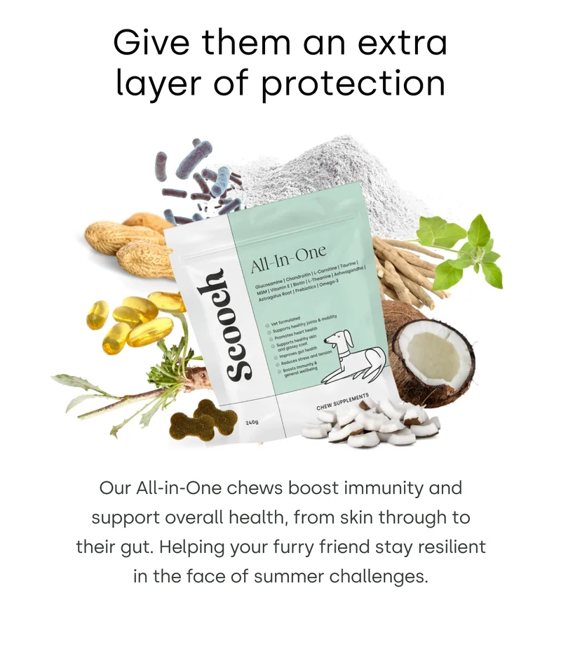 Give them an extra layer of protection - Shop All-In-One