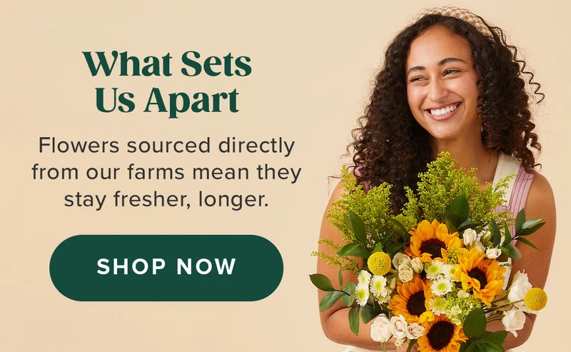 Flowers Sourced Directly From Our Farms SHOP NOW