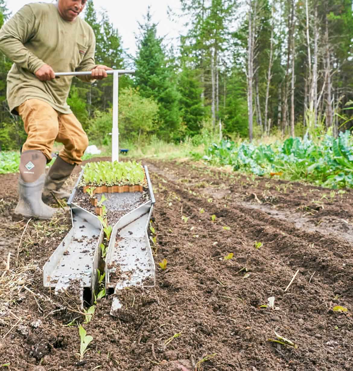 A farmer plants crops in rows on a farm surrounded by pine trees.