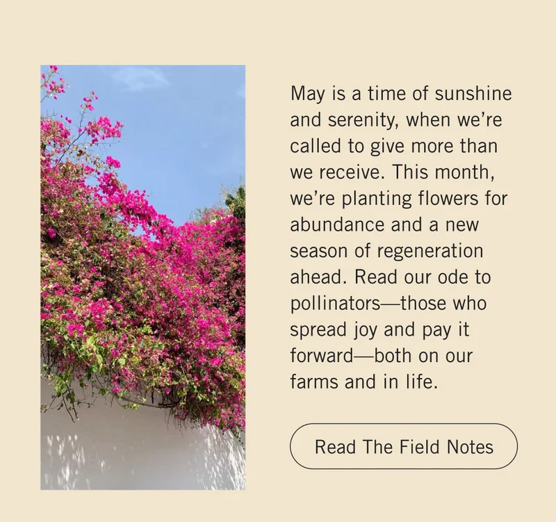 May is a time of sunshine and serenity, when we’re called to give more than we receive. This month, we’re planting flowers for abundance and a new season of regeneration ahead. Read our ode to pollinators—those who spread joy and pay it forward—both on our farms and in life. Read the Field Notes.