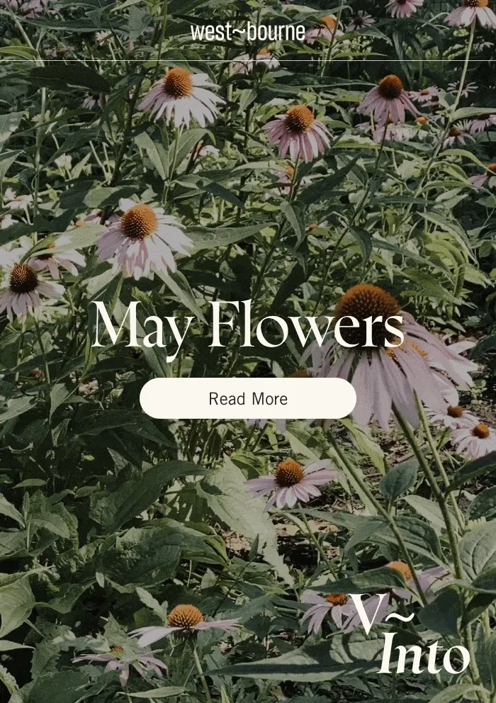 V~Into: May Flowers