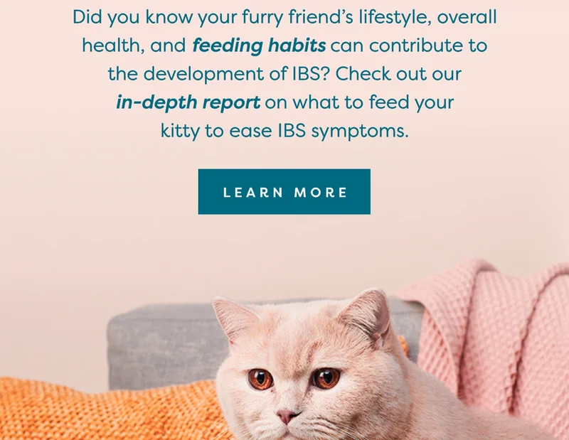 Learn more