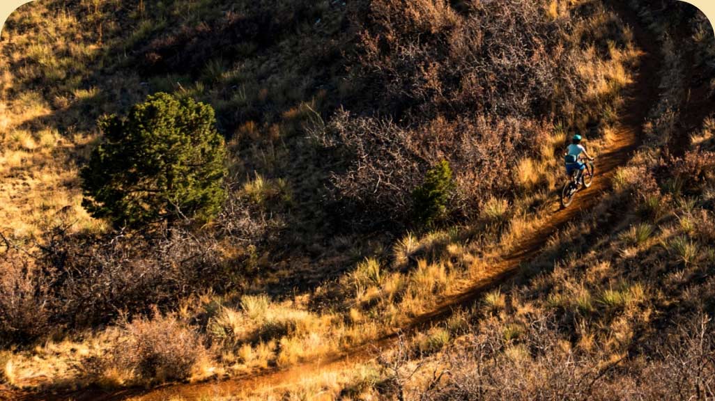 A mountain biker rides a curving dirt trail in evening sunlight.
