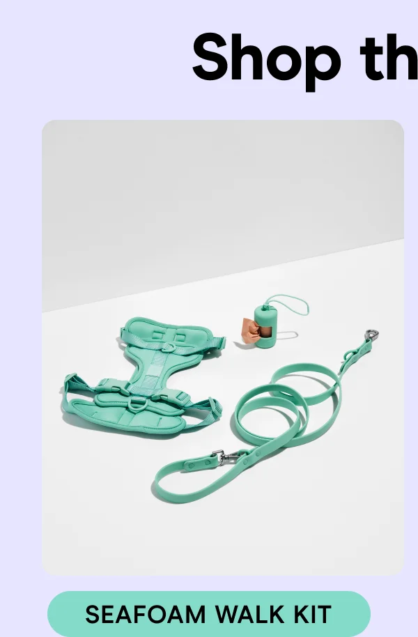 Seafoam Walk Kit
