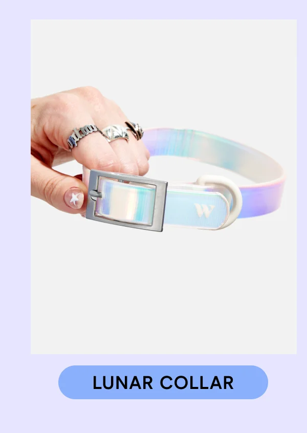 Lunar Collar