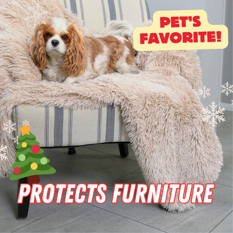 Protect chairs