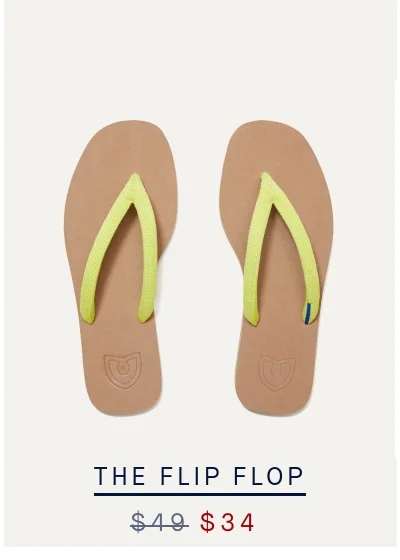THE FLIP FLOP THE FLIP FLOP