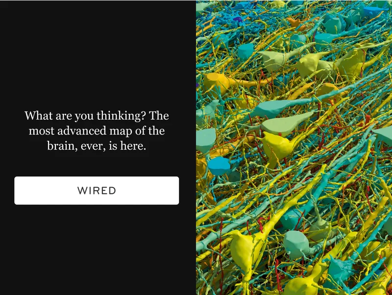 The most advanced map of the brain, ever, is here.