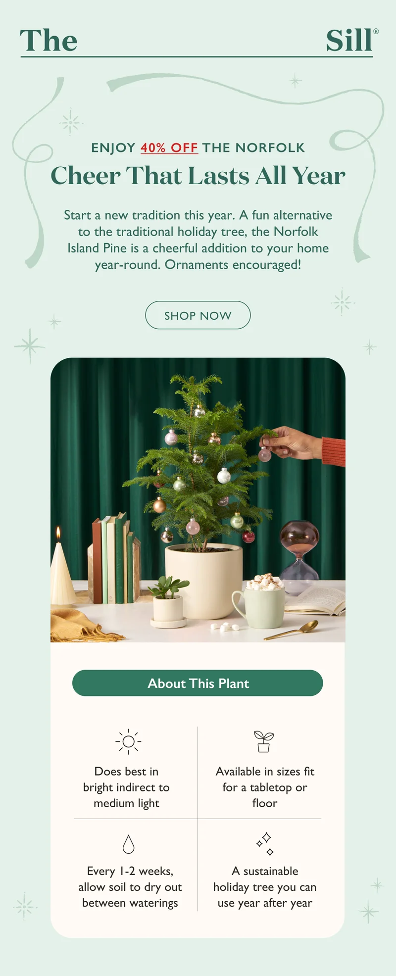 Start a new tradition this year. A fun alternative to the traditional holiday tree, the Norfolk Island Pine is a cheerful addition to your home year-round. Ornaments encouraged! Shop now.