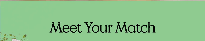 Meet Your Match