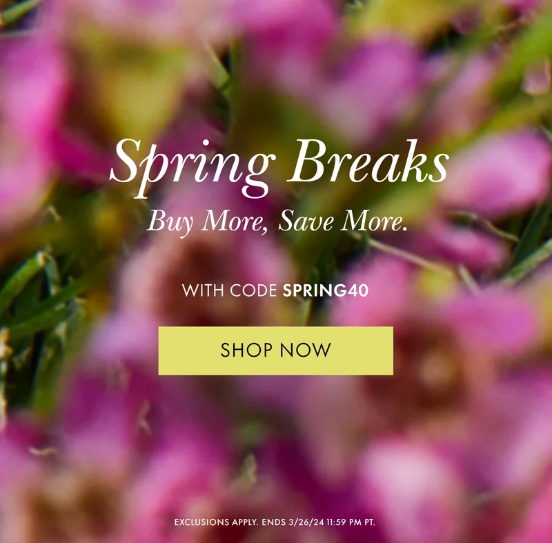Spring Breaks. Buy More, Save More. With Code discount code