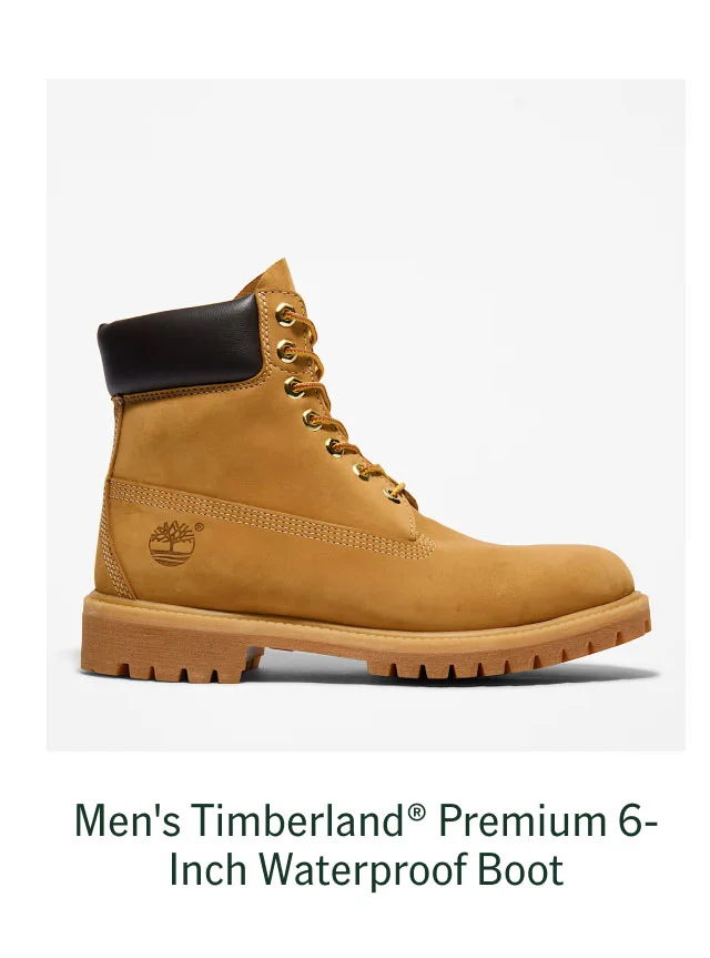 Men's Timberland Premium 6-Inch Waterproof Boot