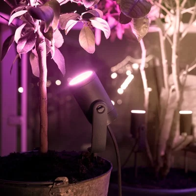 Gardens of whimsy