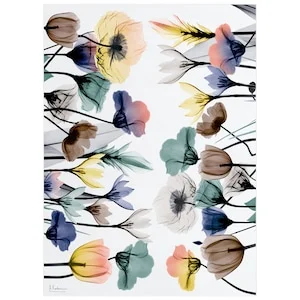 Up to 45% Off Select Area Rugs