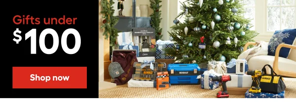 Gifts under $100