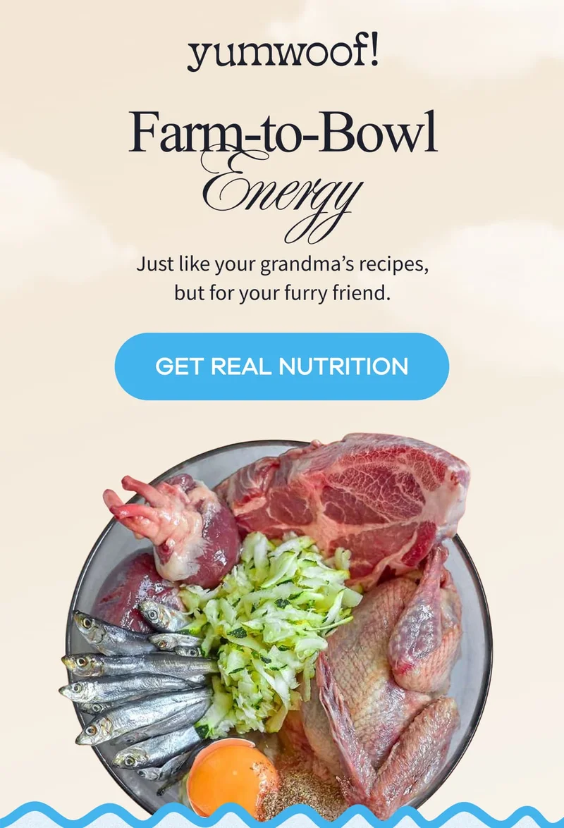yumwoof! | Farm-to-Bowl Energy | Just like your grandma’s recipes, but for your furry friend. | GET REAL NUTRITION