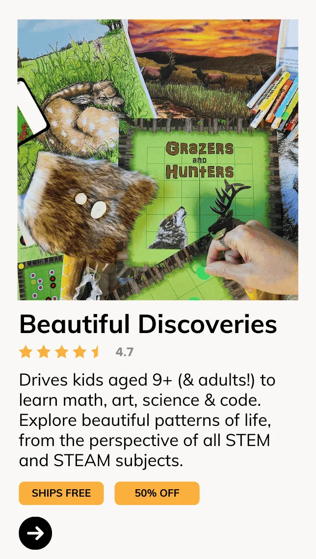 Beautiful Discovery Box