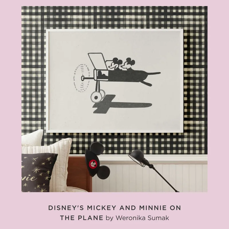 Disney's Mickey and Minnie on the Plane