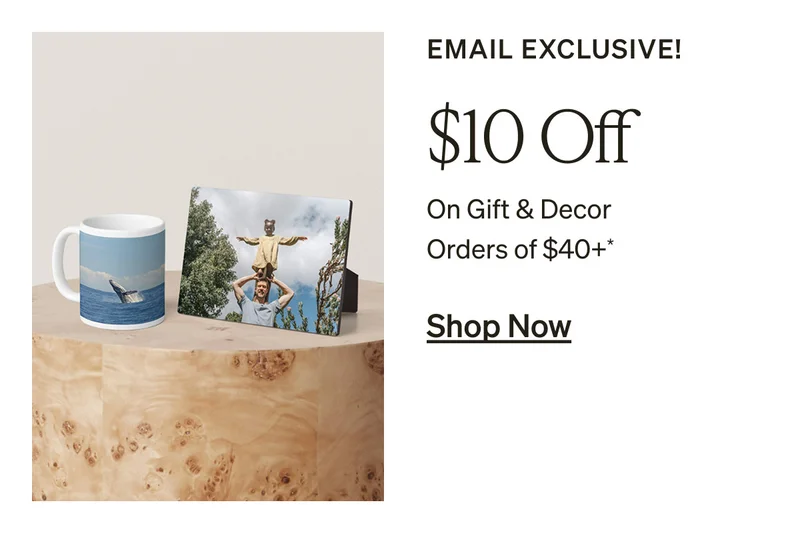 Free Shipping (No Minimum) + Up to 50% Off Almost Everything