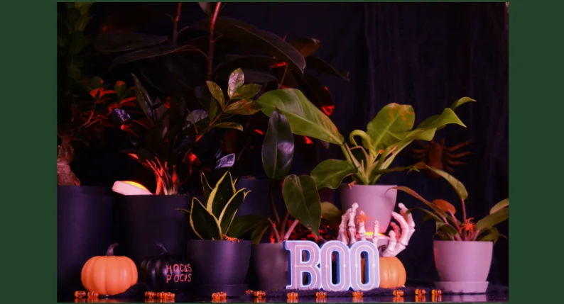 spooky plants