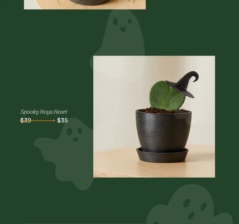 shop hoya heart