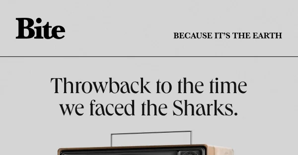 Throwback to Shark Tank