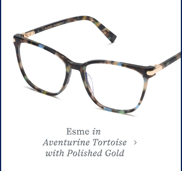 Esme in Tortoise