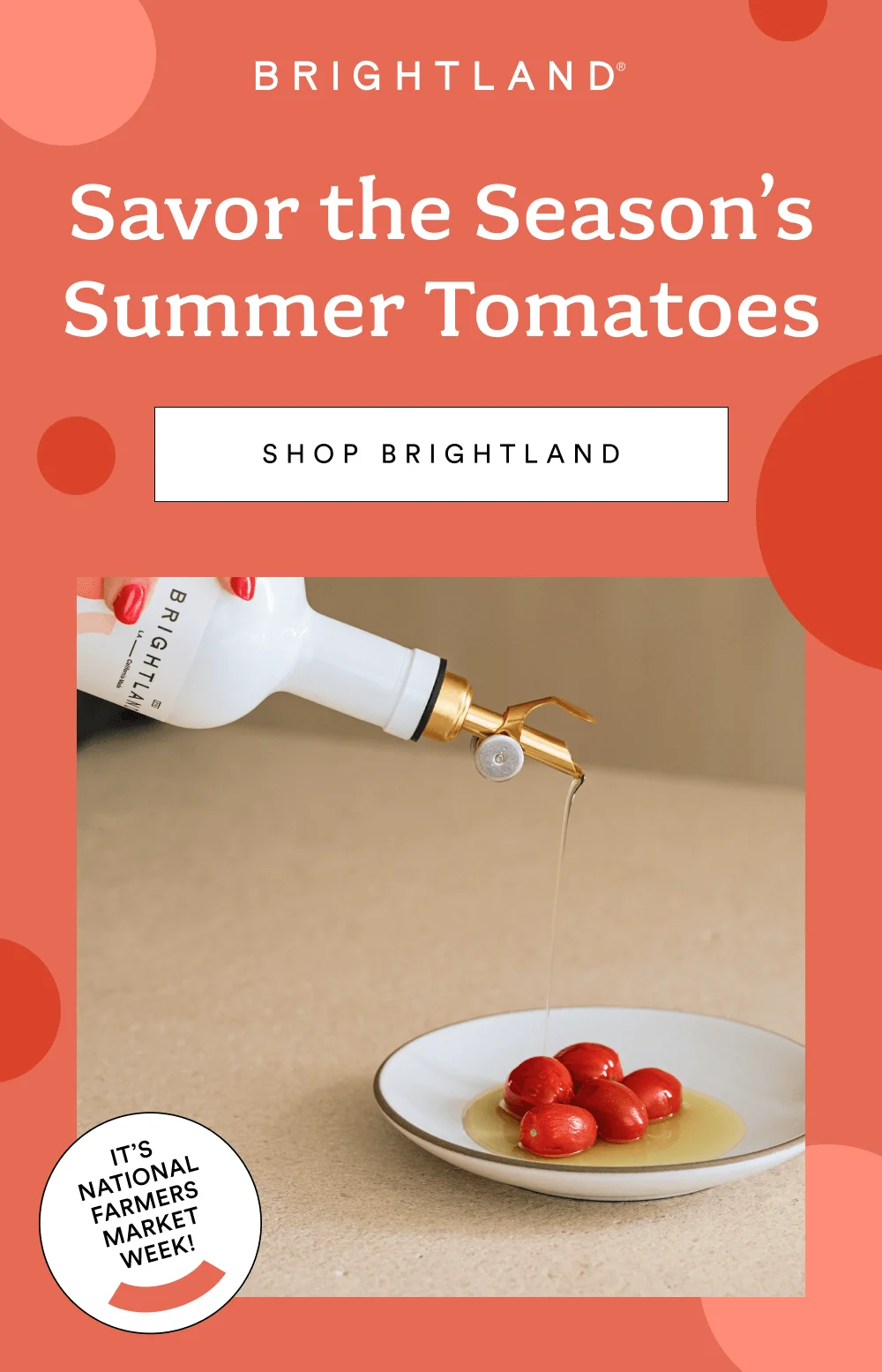 [ SHOP BRIGHTLAND ]