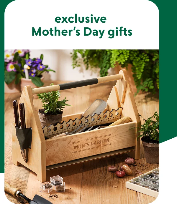 only-at-uncommon-goods