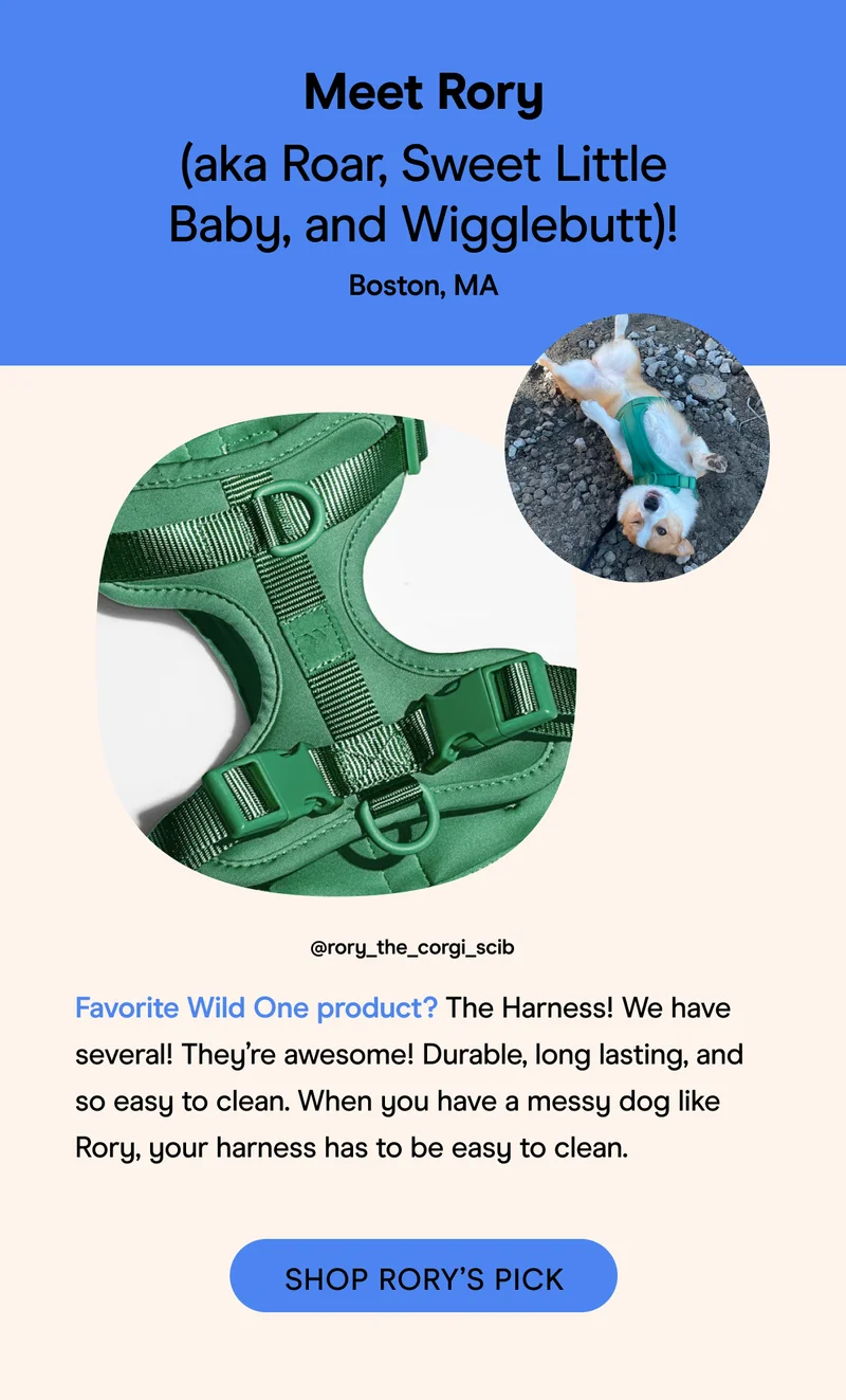Shop Roris Pick Harness