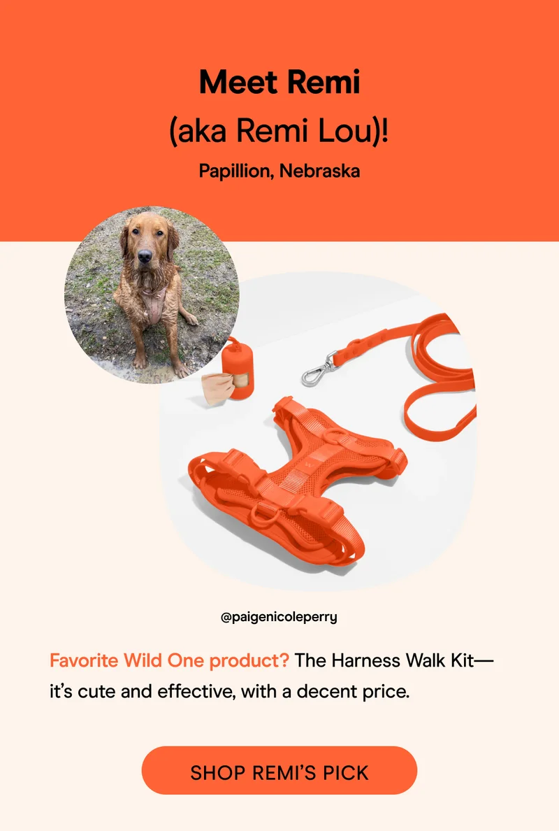 Shop Remi's Pick
