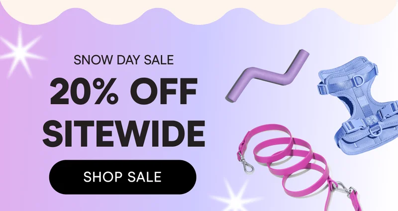 Snow Day Sale